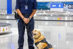 G770534