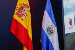 G777297